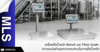 เครื่องชั่งน้ำหนัก Bench และ Floor Scale ความแม่นยำและความทนทานในการชั่งน้ำหนัก