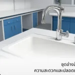 ชุดอ่างล้างห้องปฏิบัติการ