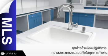 ชุดอ่างล้างห้องปฏิบัติการ