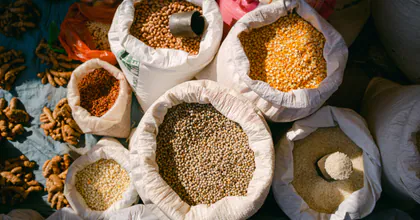 อุตสาหกรรมการเกษตรและแปรรูปทางการเกษตร