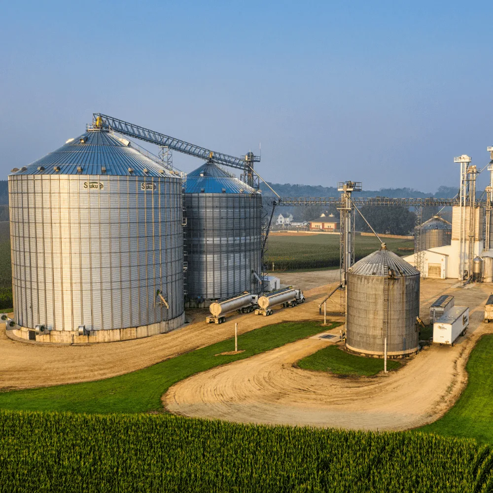 อุตสาหกรรมน้ำตาลและผลิตภัณฑ์น้ำตาล