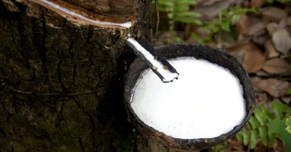 อุตสาหกรรมยางและผลิตภัณฑ์ยาง