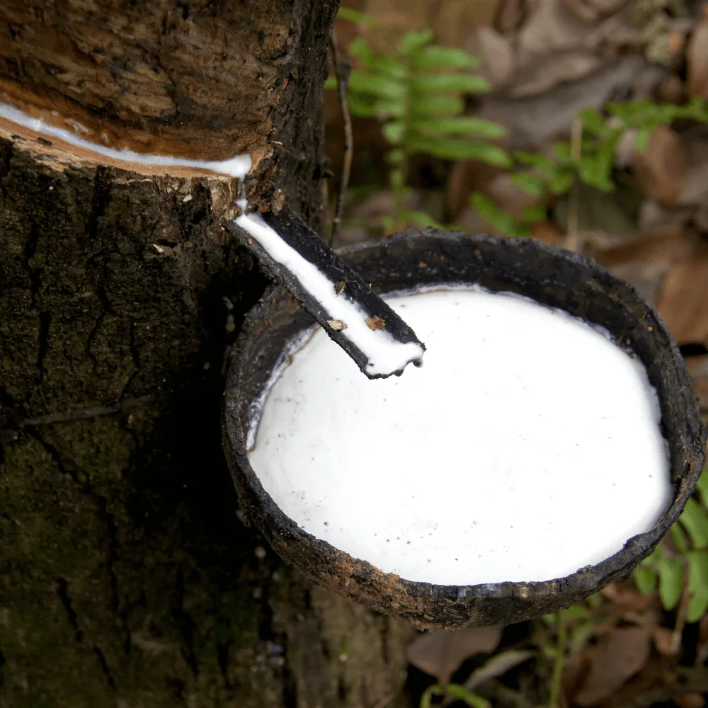 อุตสาหกรรมยางและผลิตภัณฑ์ยาง